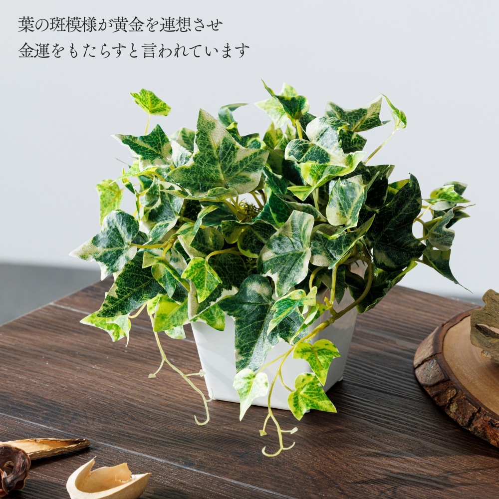造花 Ivy アイビー2