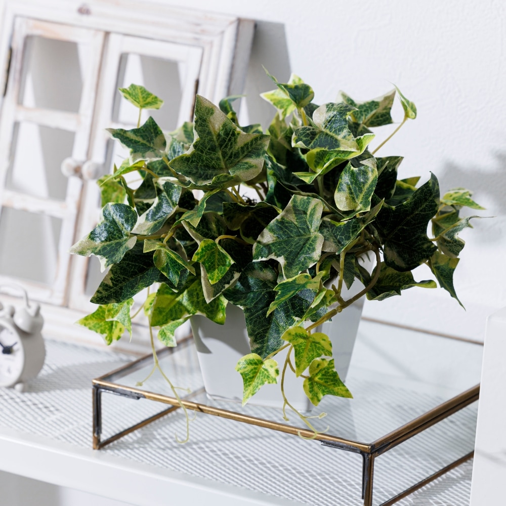 造花 Ivy アイビー4