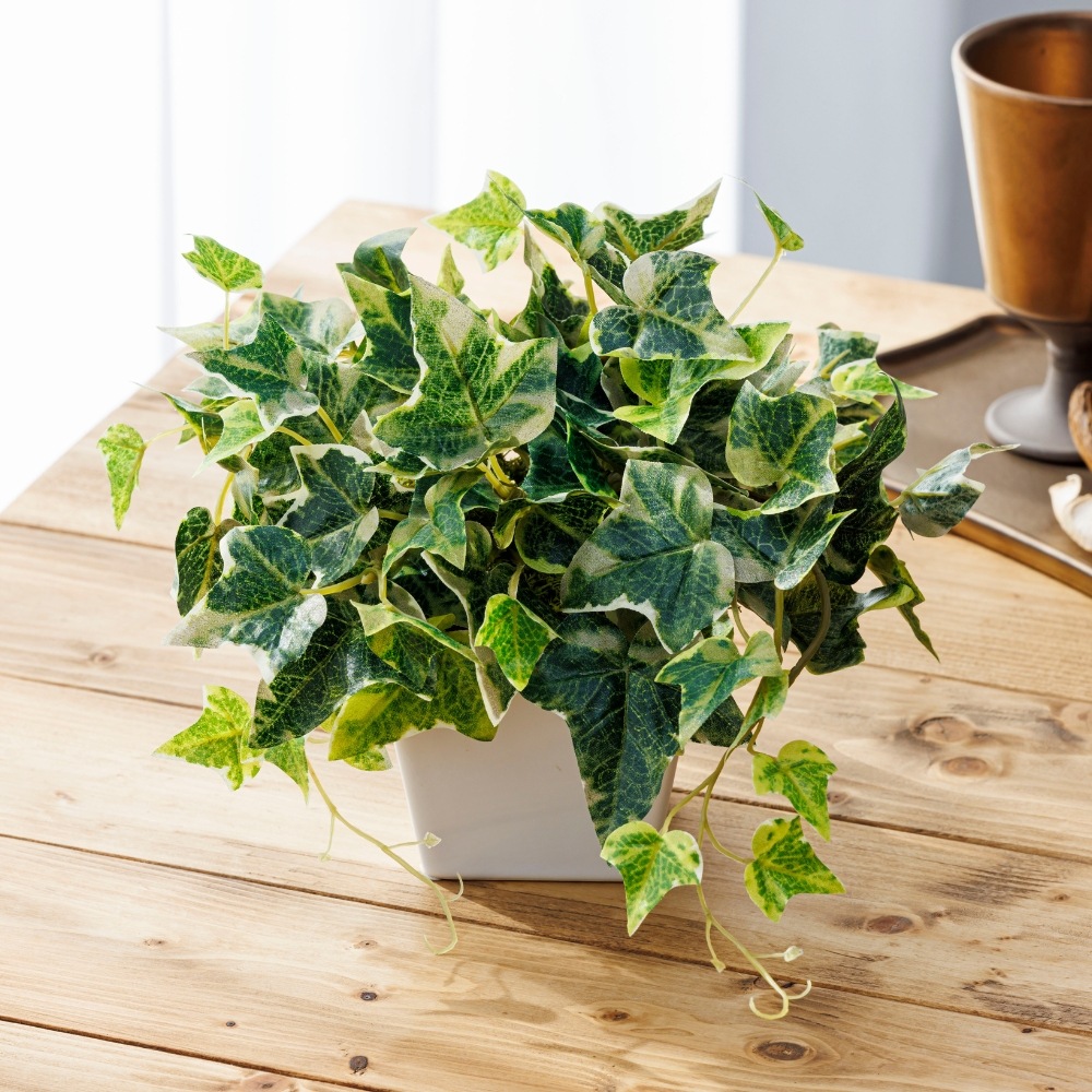 造花 Ivy アイビー5