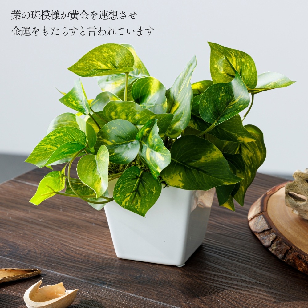 造花 Pothos ポトス2