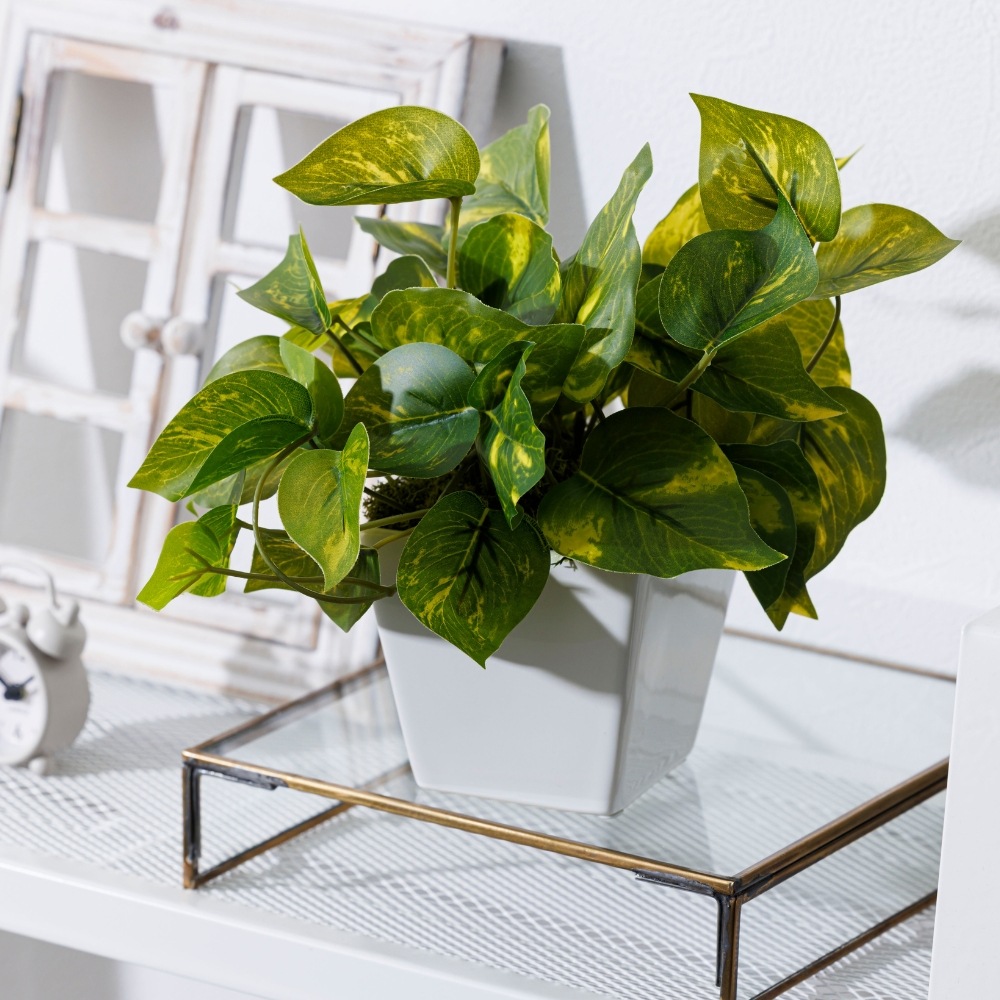 造花 Pothos ポトス4