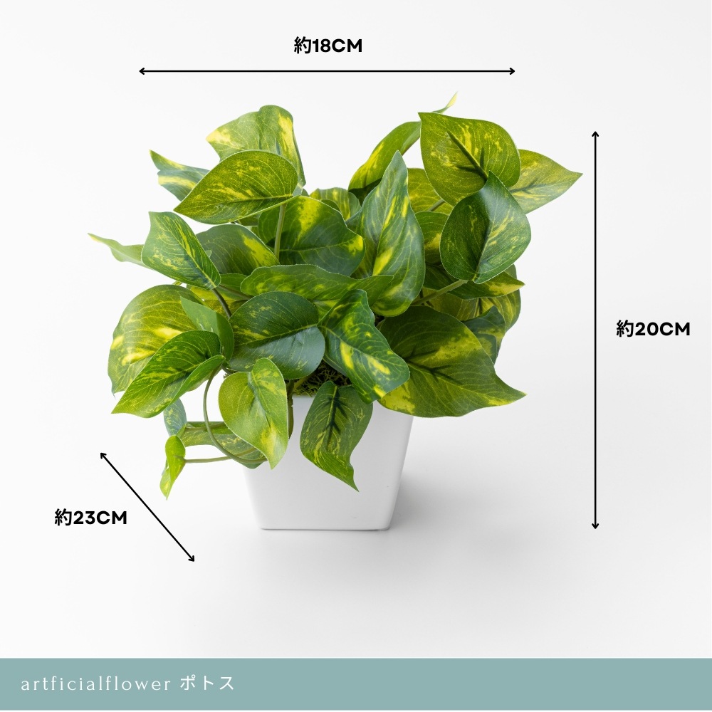 造花 Pothos ポトス7
