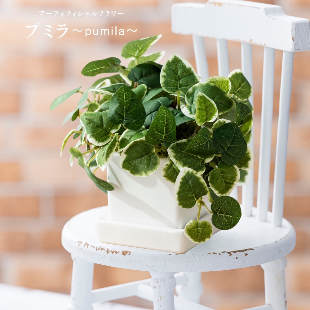 造花 pumila プミラ1
