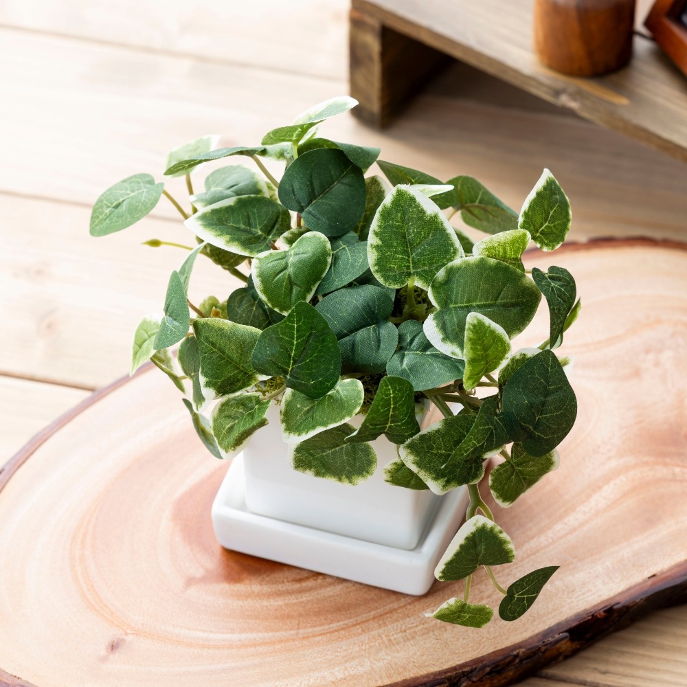 造花 pumila プミラ5