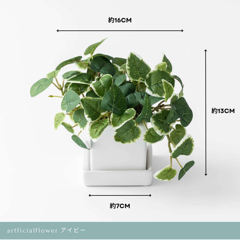 造花 pumila プミラ7