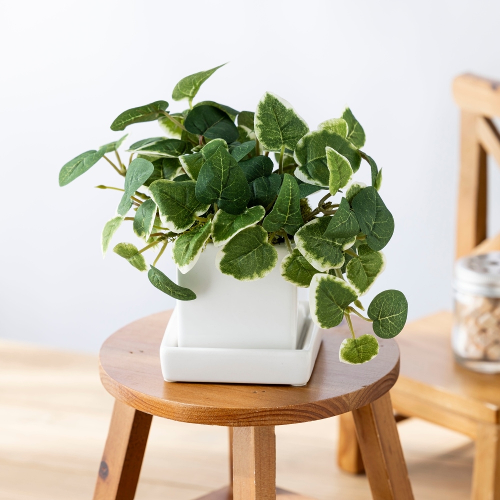 造花 pumila プミラ7