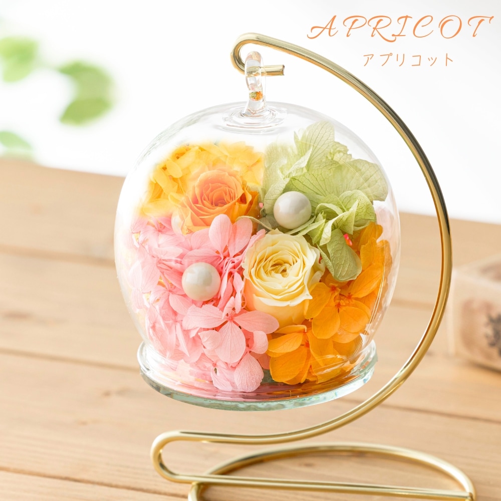 ビジュリー カラー アプリコット