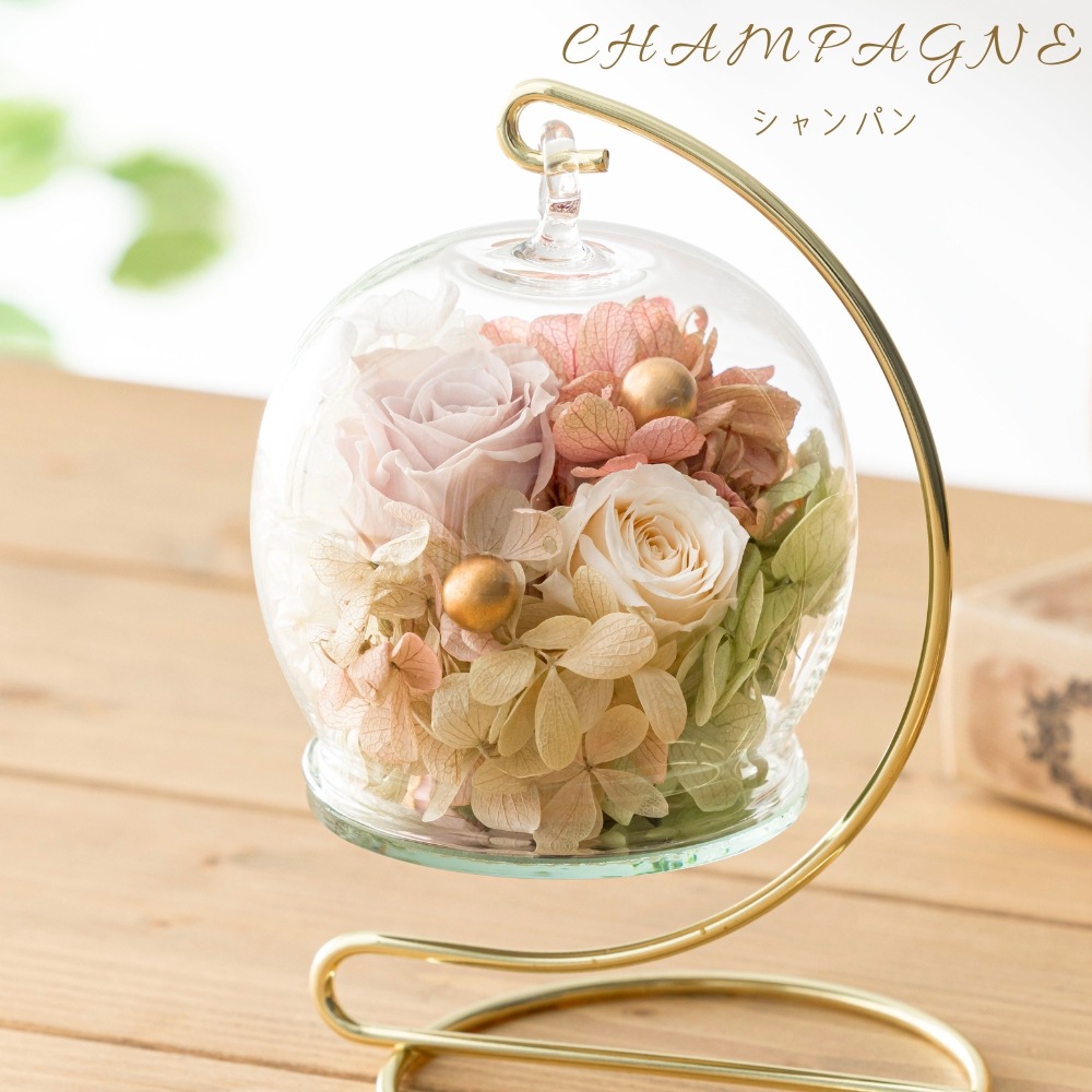 ビジュリー カラー シャンパン