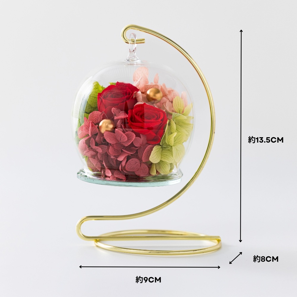 ビジュリー サイズ