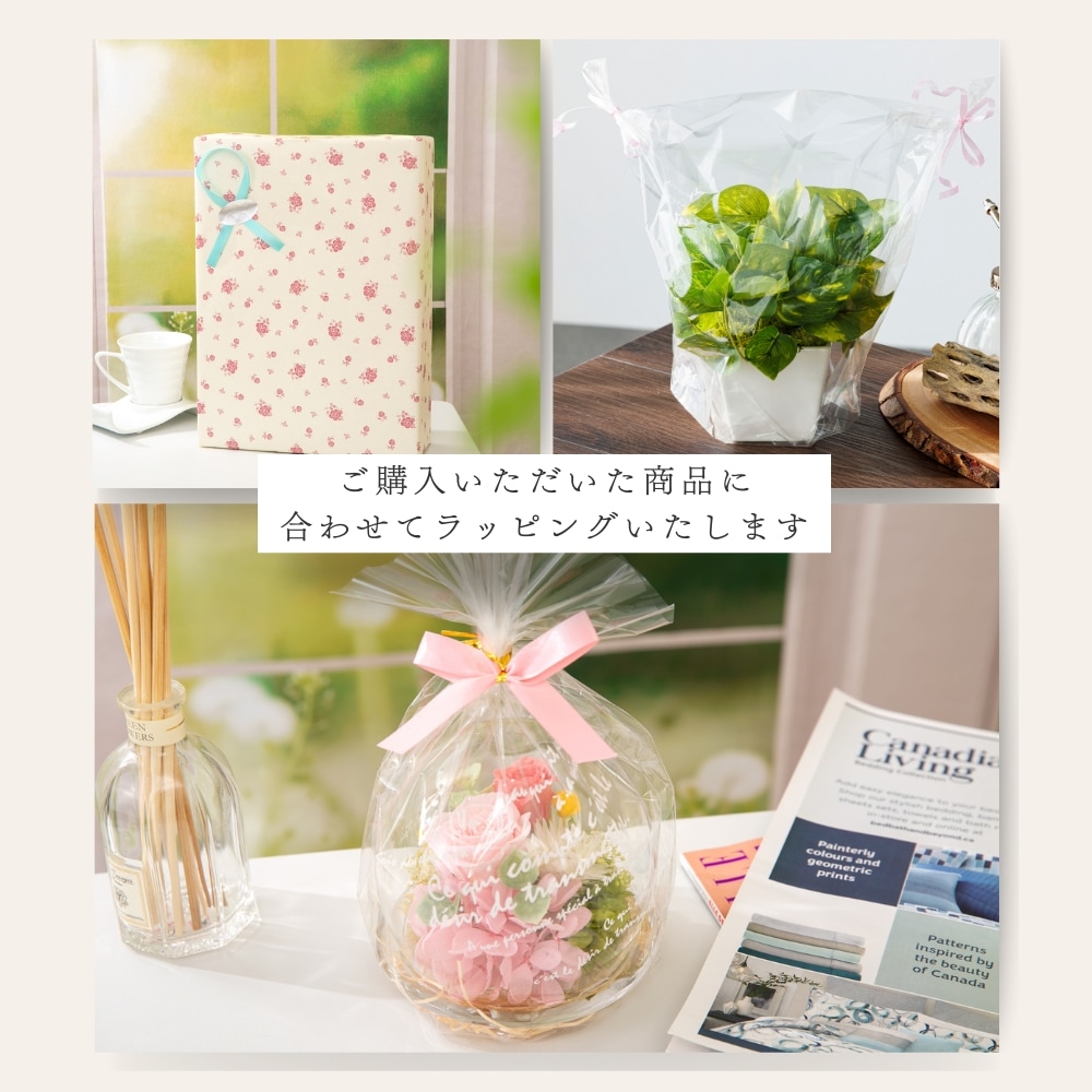 ビジュリー ラッピング