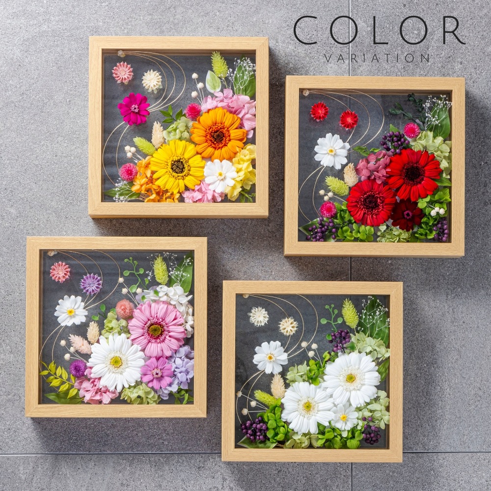 クレール カラー