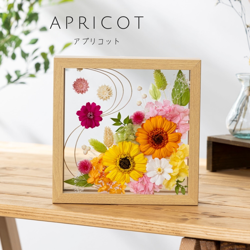 クレール カラー アプリコット