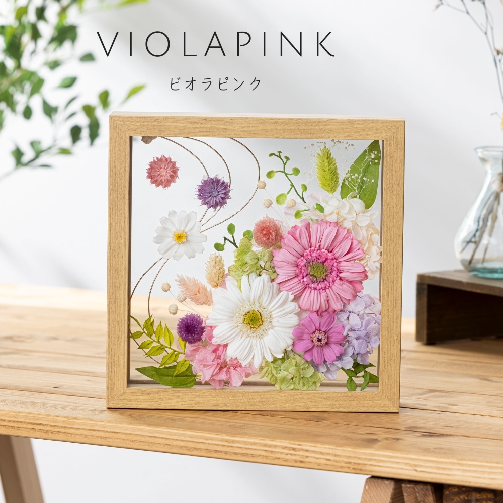 クレール カラー ビオラピンク