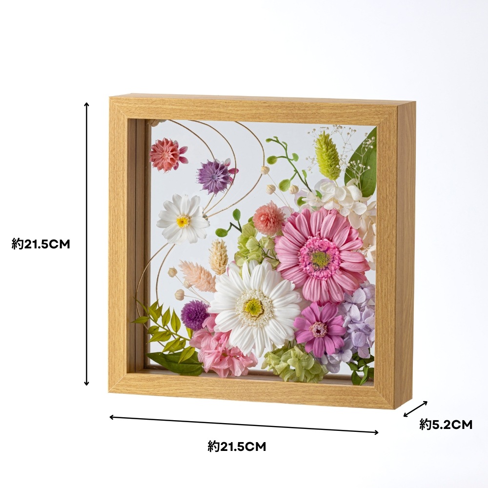 クレール サイズ