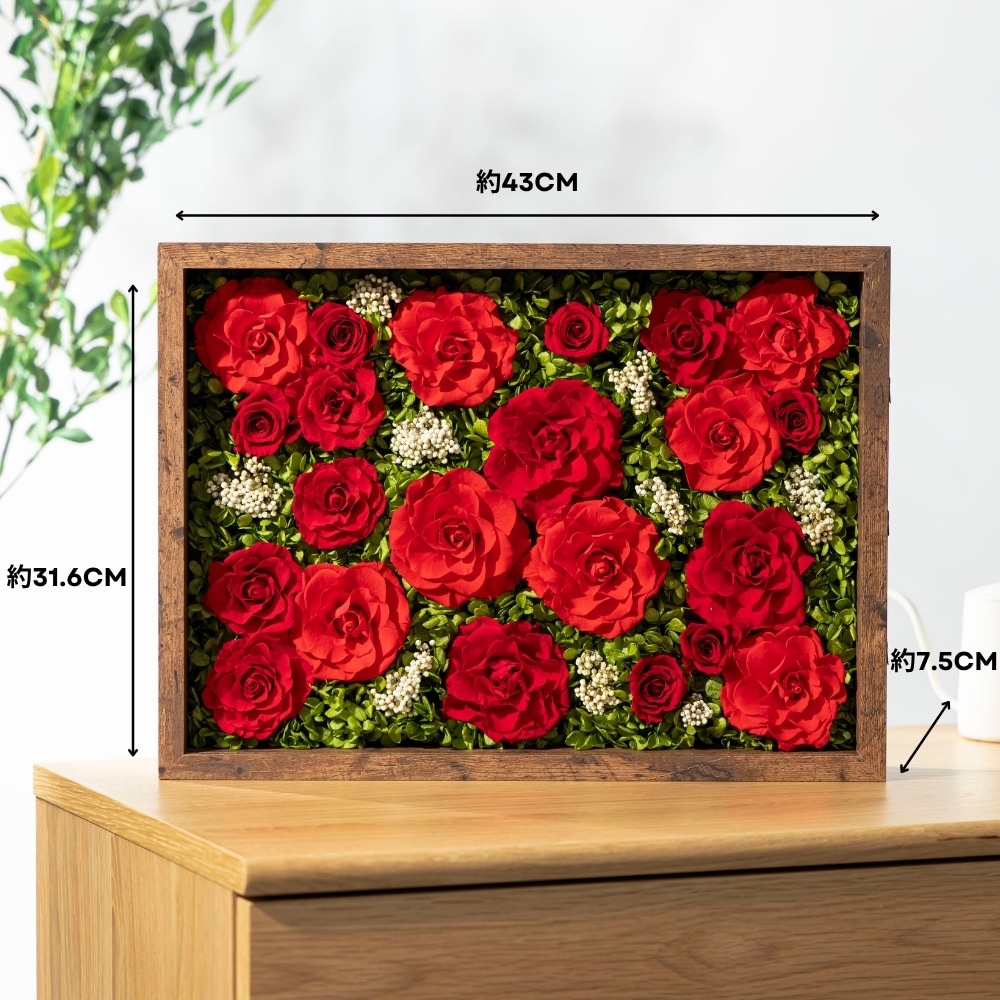 coffret コフレット サイズ