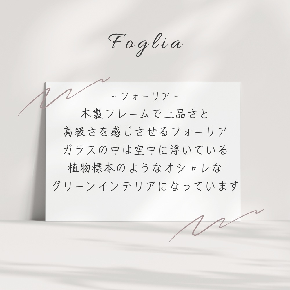 プリザーブドフラワー フォーリア3