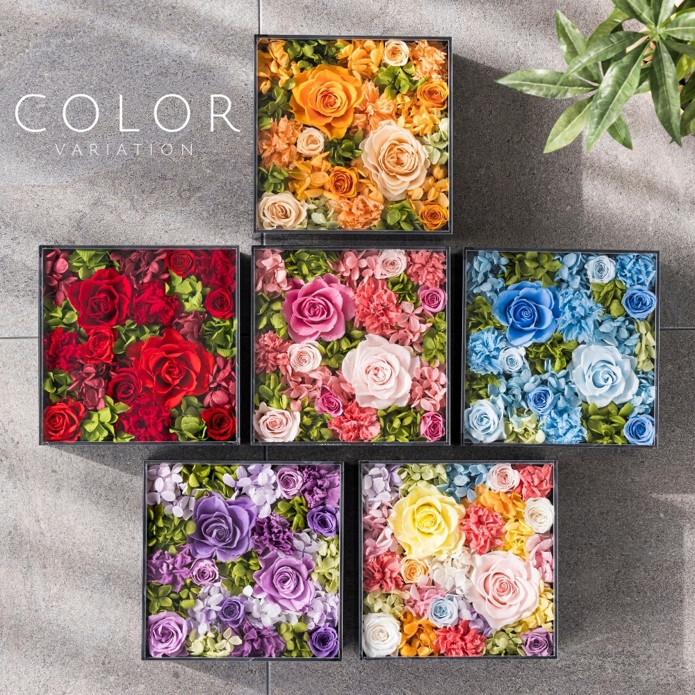 グロワール カラー