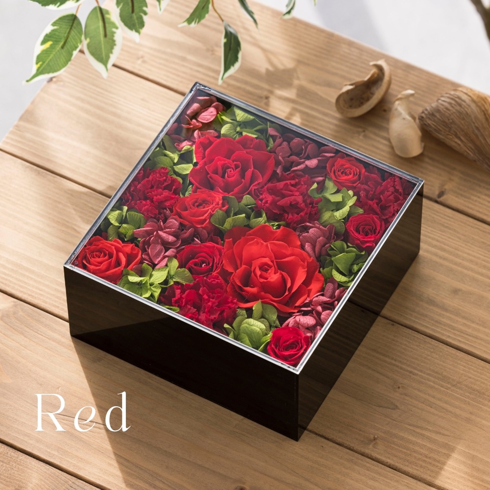 グロワール カラー レッド