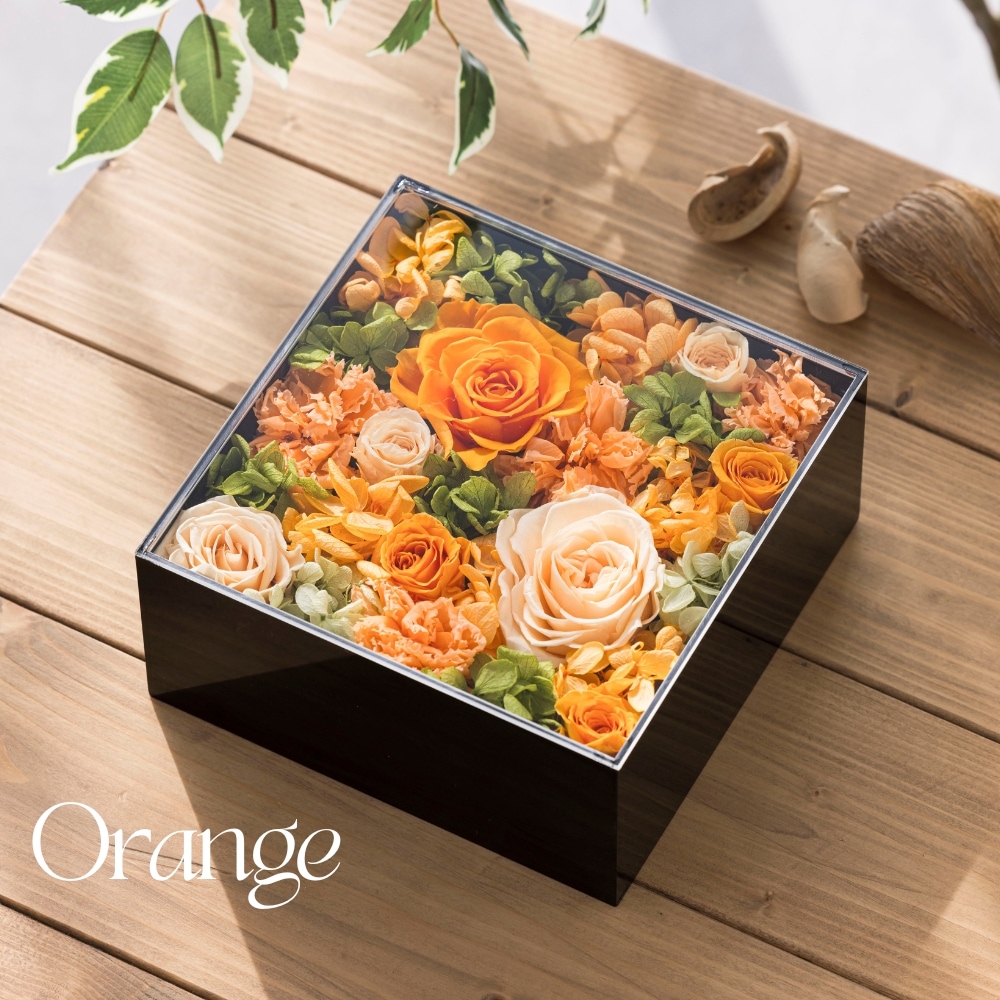 グロワール カラー オレンジ