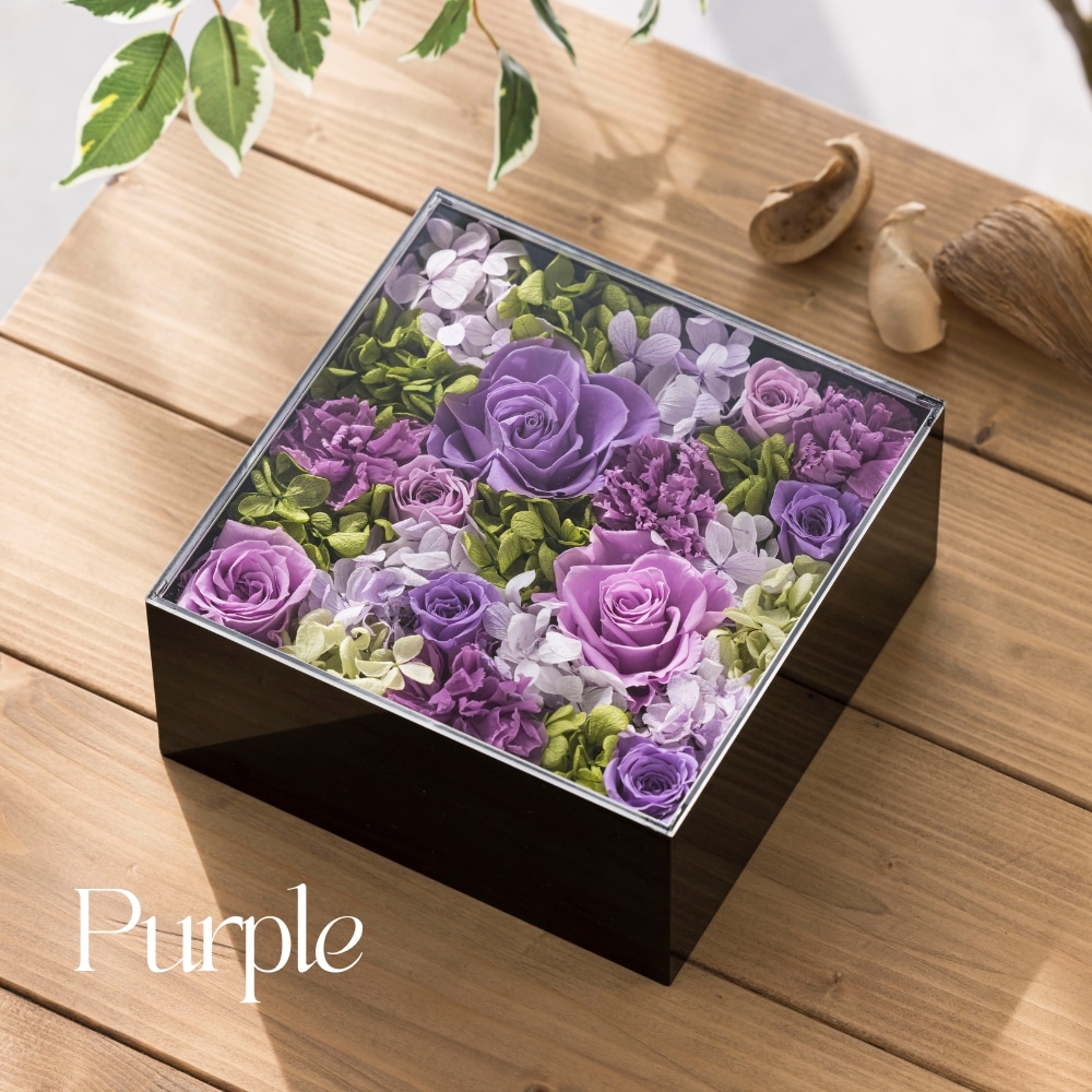 グロワール カラー パープル