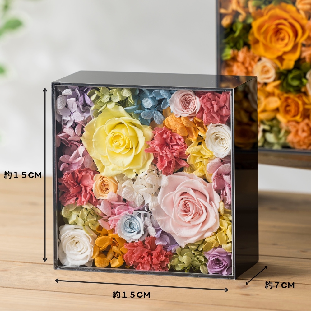 グロワール サイズ