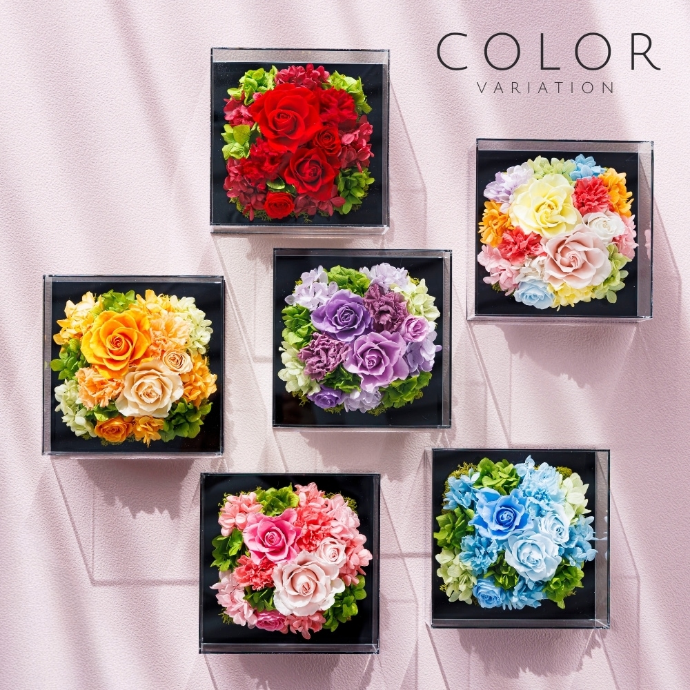 グラシュー カラー