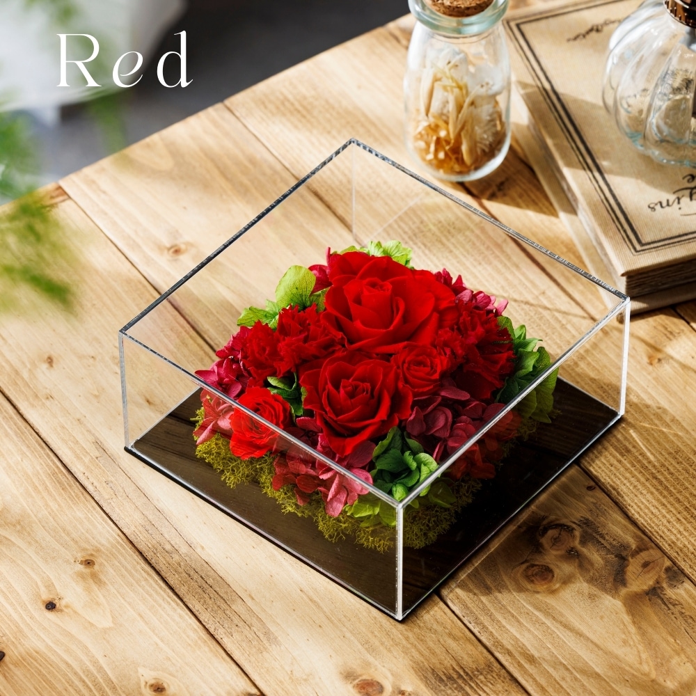 グラシュー カラー レッド