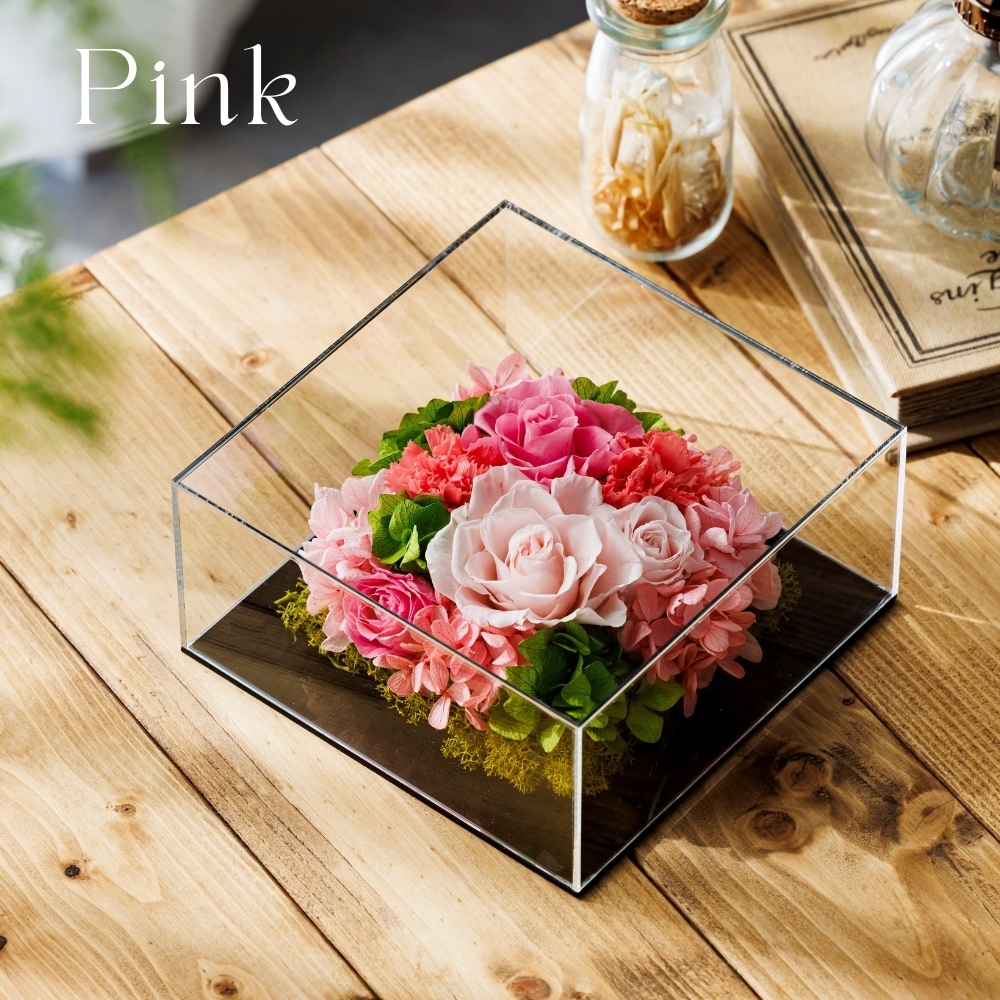 グラシュー カラー ピンク