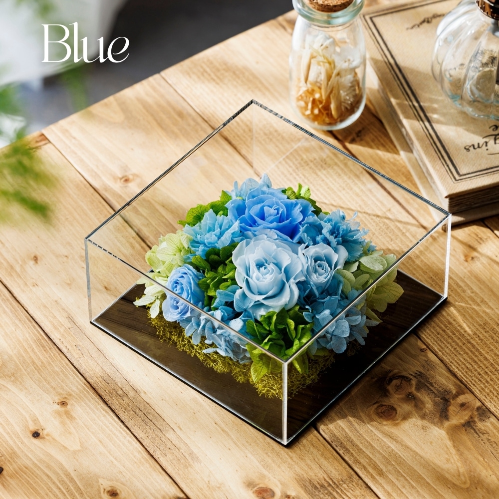 グラシュー カラー ブルー