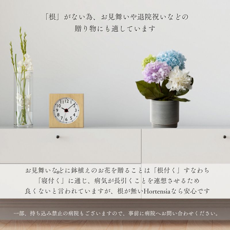 プリザーブドフラワー オルタンシア3