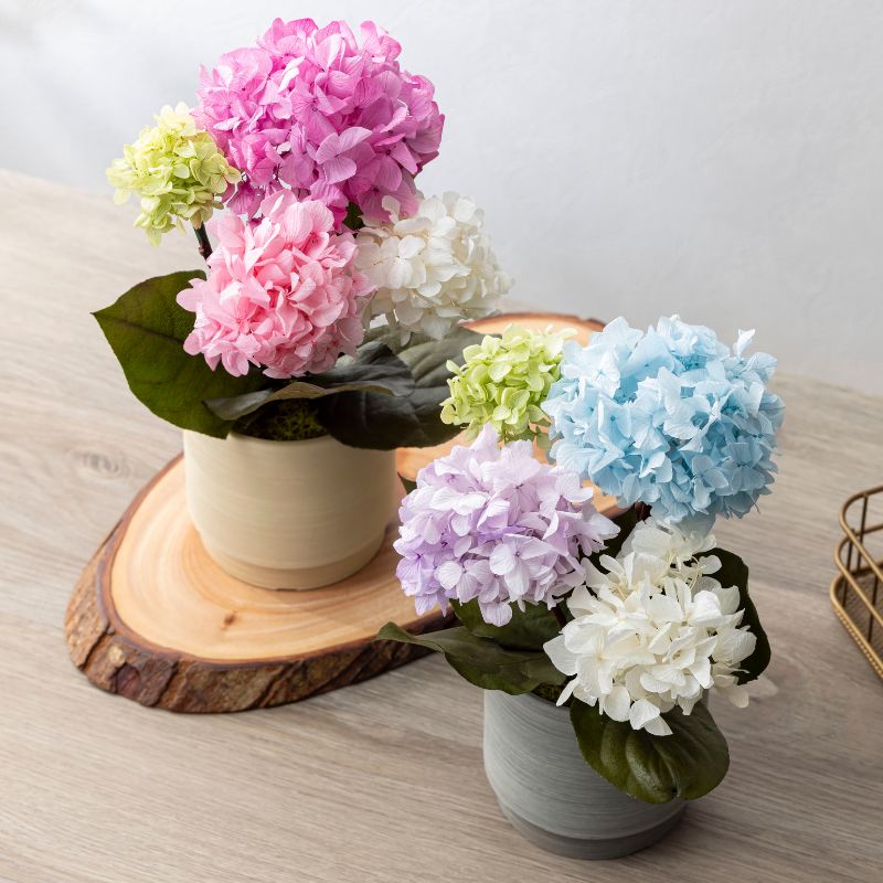 プリザーブドフラワー オルタンシア4