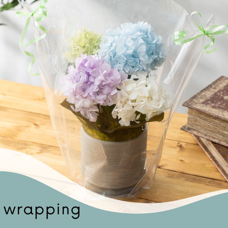 オルタンシア ラッピング