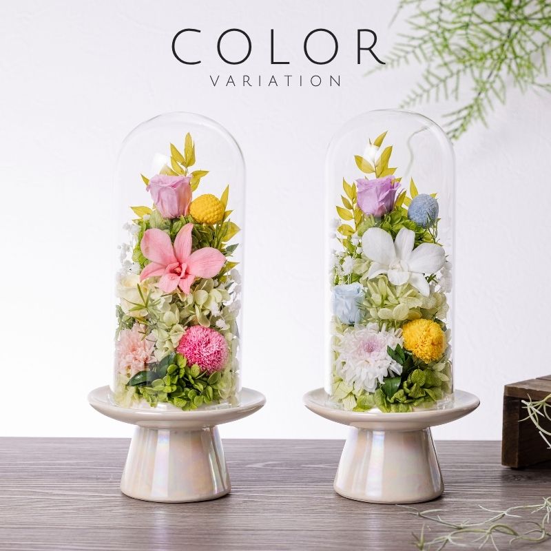 花音 カラー種類