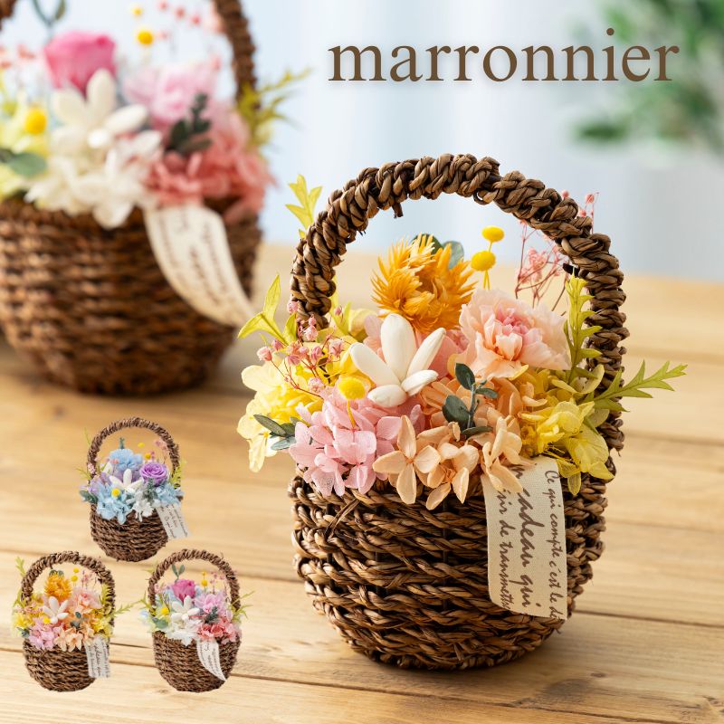 『marronnier マロニエ』