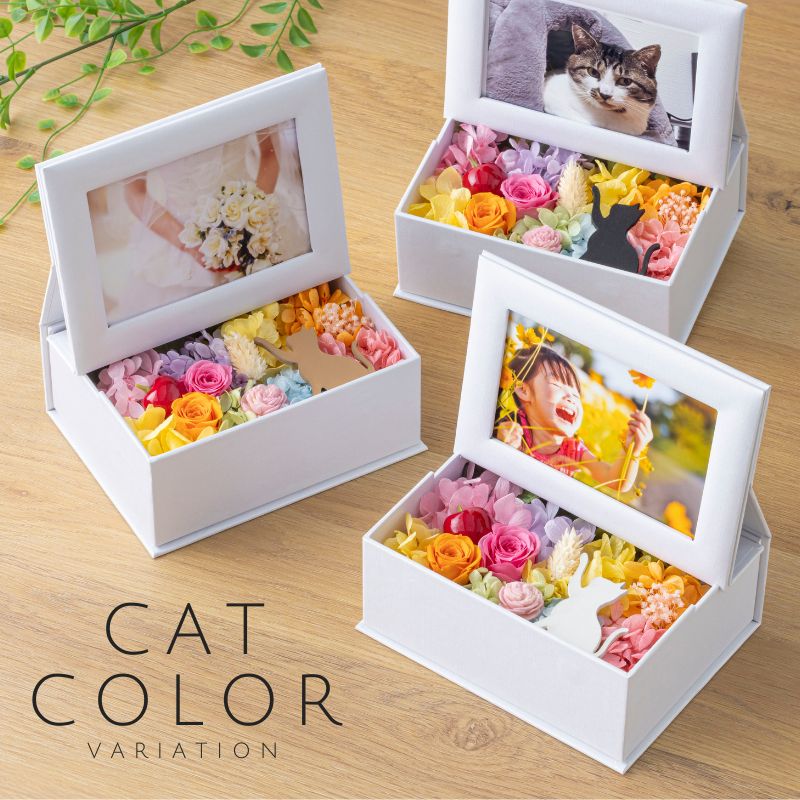 ミニョン カラー種類