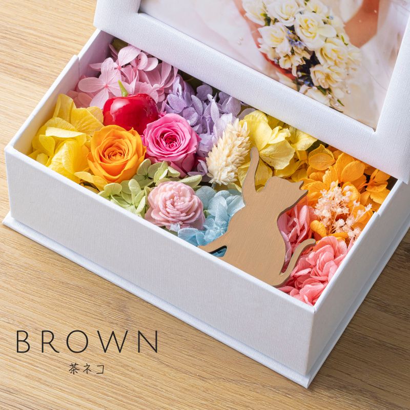 ミニョン ブラウン