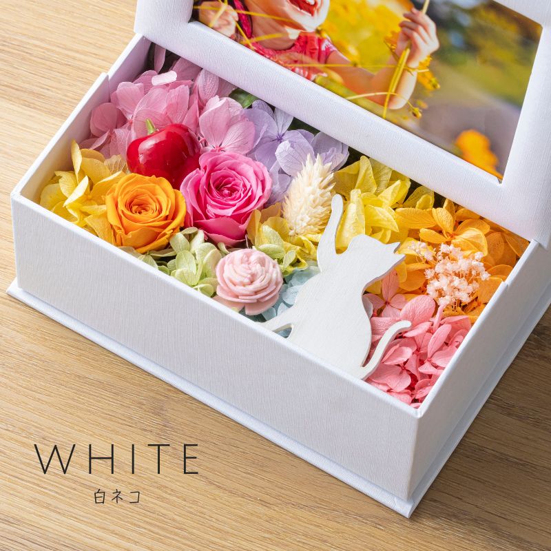 ミニョン ホワイト