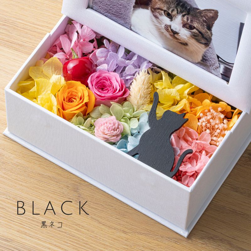 ミニョン ブラック