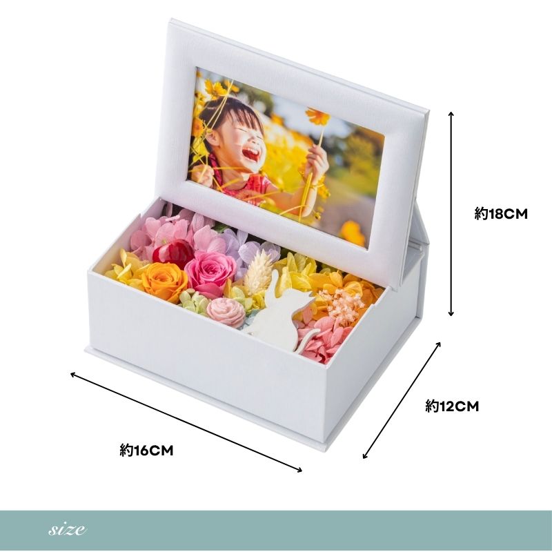 ミニョン サイズ