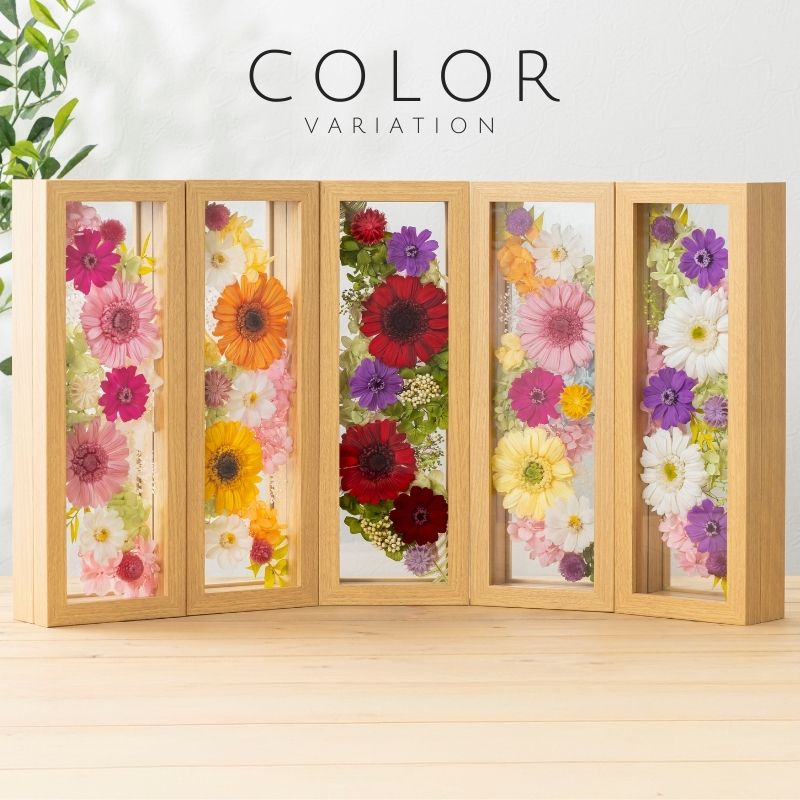 プレズィール カラー種類