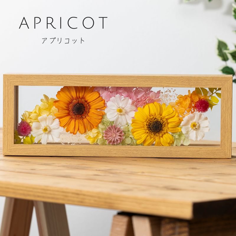 プレズィール アプリコット