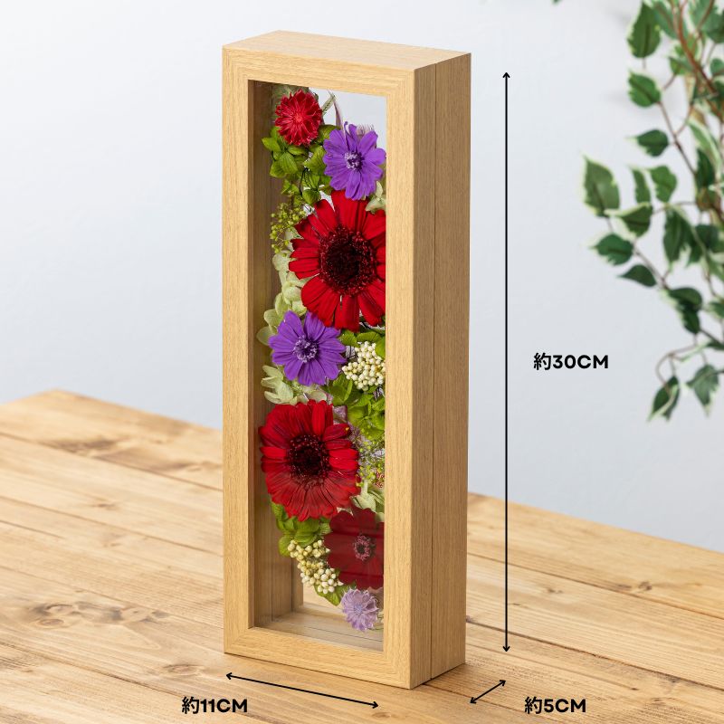 プレズィール サイズ