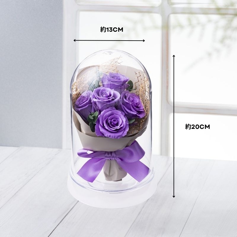 ラポール サイズ