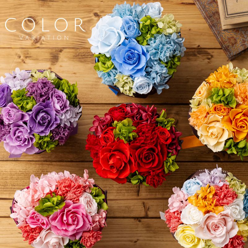 ランコントル カラー種類