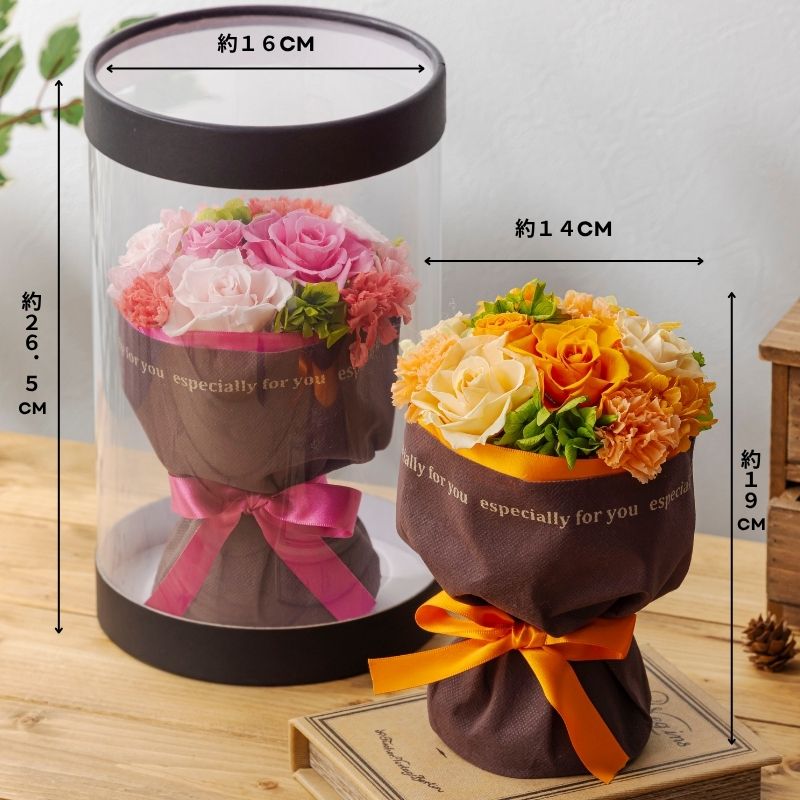 ランコントル サイズ