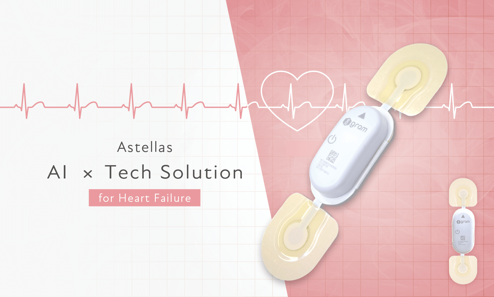 Astellas AI x Tech Solution for Heart Failure