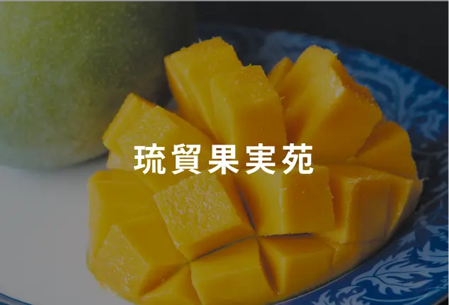 琉貿果実苑