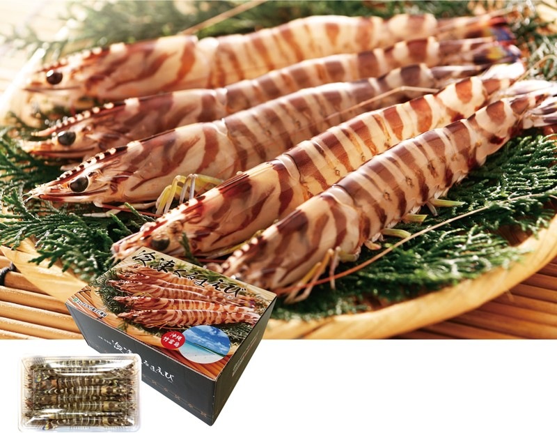 RYUBO online｜デパートリウボウ公式オンラインストア