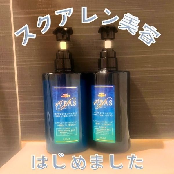Best ambassador 第2位