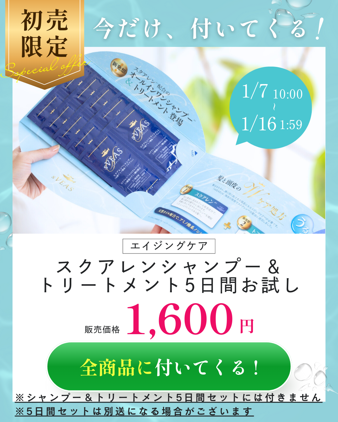 今だけシャントリ5日間セット付+500円OFF】スクアレンシャンプー